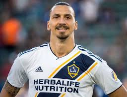 AC Milan underskrevet af Ibrahimović